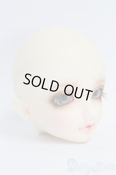 画像2: SD/フルチョイス F-54ヘッド I-26-02-08-070-KD-ZI (2)