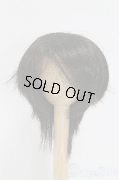 画像1: 7-8inch/ウィッグ I-26-02-08-093-KD-ZI (1)