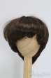 画像1: 7-8inch/ウィッグ I-26-02-08-091-KD-ZI (1)