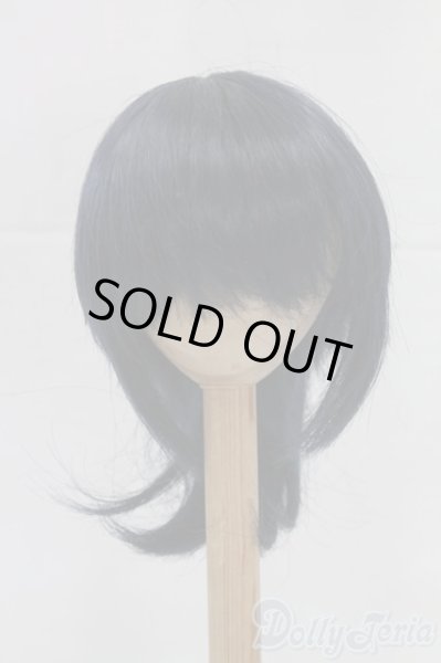 画像1: 8-9inch/ウィッグ I-26-02-15-087-KD-ZI (1)