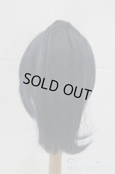 画像3: 8-9inch/ウィッグ I-26-02-15-087-KD-ZI (3)