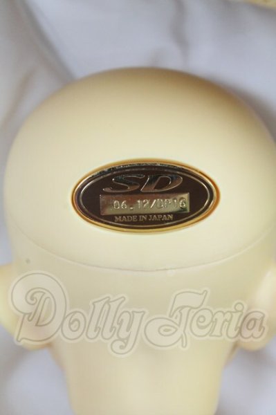 画像8: SD13男の子/ウィリアムズ I-26-02-15-143-KD-ZI (8)