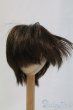 画像1: 9-10inch/ウィッグ I-26-02-15-080-KD-ZI (1)
