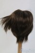 画像2: 9-10inch/ウィッグ I-26-02-15-080-KD-ZI (2)