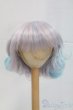 画像1: 9-10inch/ウィッグ I-26-02-15-083-KD-ZI (1)