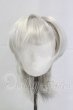 画像1: 9inch/ウィッグ I-26-02-15-124-KD-ZI (1)