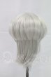画像2: 9inch/ウィッグ I-26-02-15-124-KD-ZI (2)