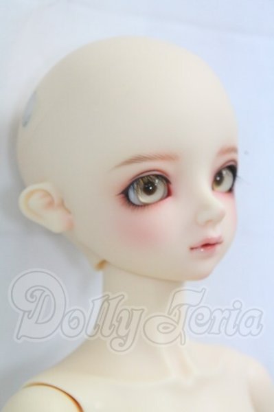 画像4: SD男の子/フルチョイス:F-79 I-26-03-01-004-KD-ZI (4)