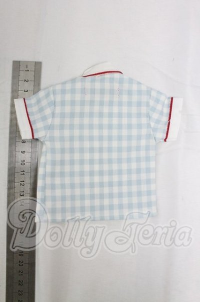 画像2: SDM＆MSD/OF:トップス：:MELODY.C様製 I-26-02-15-286-KD-ZI (2)