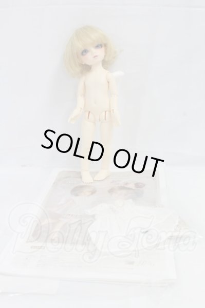 画像8: 幼天使/椿 I-26-02-22-056-KD-ZI (8)