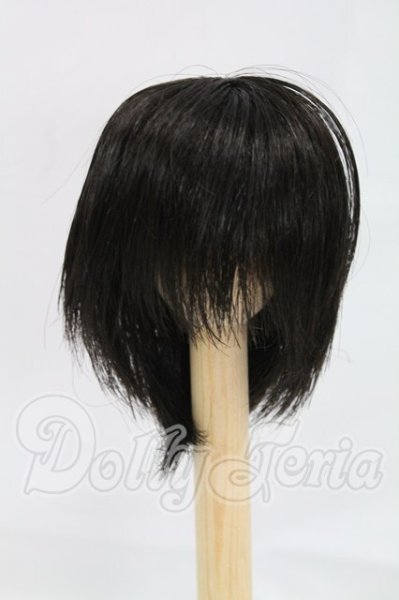 画像1: 6-7inch/ウィッグ I-26-02-22-227-KD-ZI (1)