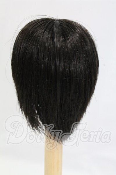 画像2: 6-7inch/ウィッグ I-26-02-22-227-KD-ZI (2)