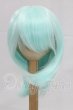 画像1: 8-9inch/ウィッグ I-26-03-01-147-KD-ZI (1)
