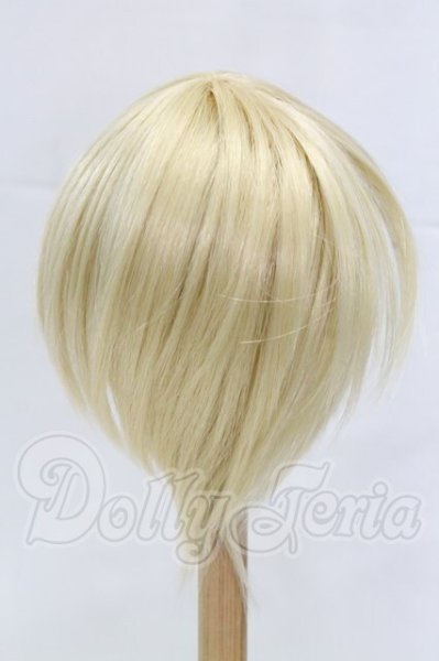 画像2: 9-10inch/ウィッグ I-26-03-01-324-KD-ZI (2)