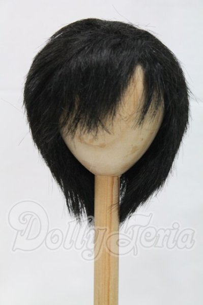 画像1: 9-10inch/ウィッグ I-26-03-01-326-KD-ZI (1)