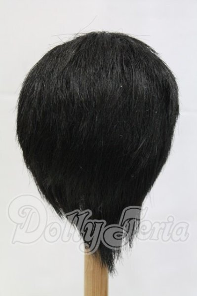 画像2: 9-10inch/ウィッグ I-26-03-01-326-KD-ZI (2)