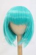 画像1: 8-9inch/ウィッグ I-26-03-15-047-YB-ZI (1)