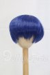 画像1: 8-9inch/ウィッグ I-26-03-15-150-YB-ZI (1)