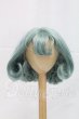画像1: 8-9inch/ウィッグ I-26-03-15-146-YB-ZI (1)