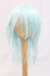 画像1: 8-9inch/ウィッグ I-26-03-15-120-KD-ZI (1)
