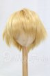 画像1: 8-9inch/ウィッグ I-26-03-15-121-KD-ZI (1)