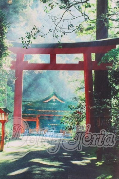 画像1: 背景布 I-26-03-15-206-KD-ZI (1)