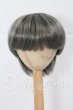 画像1: 8-9inch/ウィッグ I-26-03-22-001-KD-ZI (1)