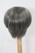 画像2: 8-9inch/ウィッグ I-26-03-22-001-KD-ZI (2)