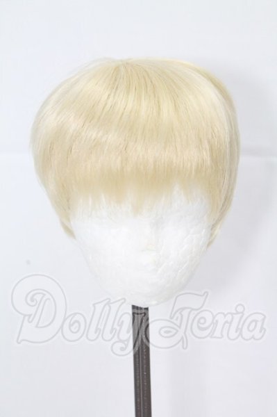 画像1: 9-10inch/ウィッグ I-26-03-22-006-KD-ZI (1)