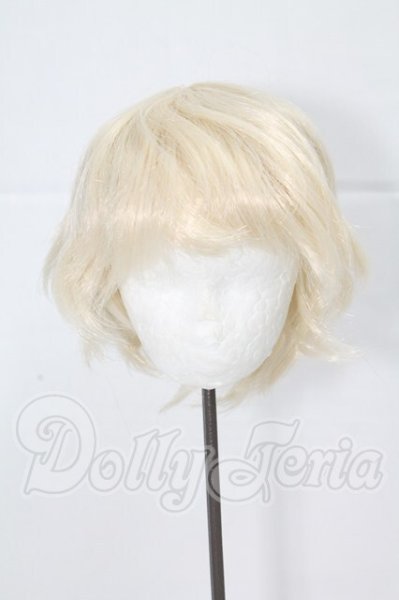 画像1: 8-9inch/ウィッグ I-26-03-22-009-KD-ZI (1)