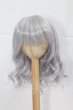 画像1: 8.5-9inch/ウィッグ I-26-03-22-010-KD-ZI (1)
