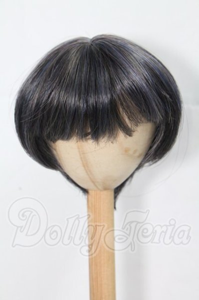 画像1: 8-9inch/ウィッグ I-26-03-22-012-KD-ZI (1)