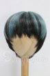 画像1: 8-8.5inch/ウィッグ I-26-03-15-283-KD-ZI (1)