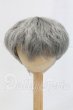 画像1: 9inch/ウィッグ I-26-03-15-144-KD-ZI (1)