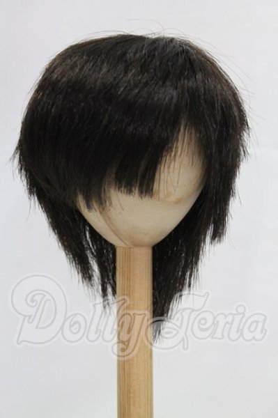 画像1: 8-9inch/ウィッグ I-26-03-15-138-KD-ZI (1)