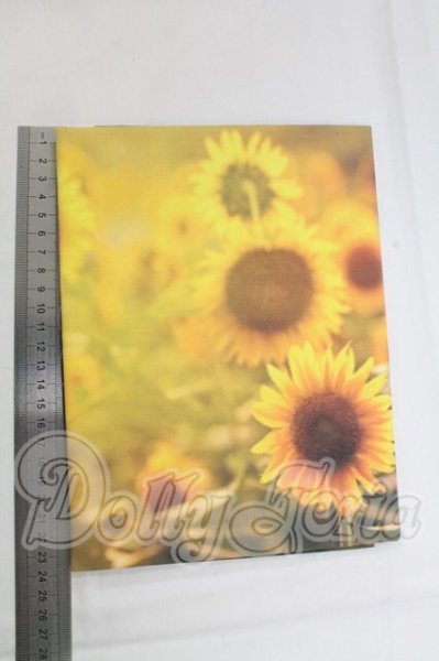 画像2: 背景布90cmｘ50ｃｍ I-26-04-05-201-KD-ZI (2)