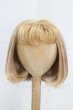 画像1: 8-9inch/ウィッグ I-26-03-22-251-KD-ZI (1)