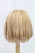 画像2: 8-9inch/ウィッグ I-26-03-22-251-KD-ZI (2)