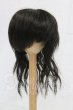 画像1: 9inch/ウィッグ I-26-03-22-231-KD-ZI (1)