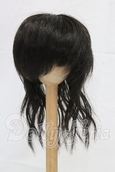 画像1: 9inch/ウィッグ I-26-03-22-231-KD-ZI (1)