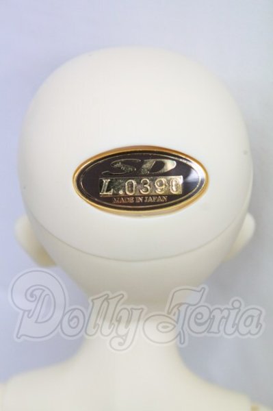 画像5: SDM/子天使白蓮 白雪ver. I-26-03-29-052-KD-ZI (5)