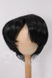 画像1: 8-9inch/ウィッグ I-26-04-26-146-KD-ZI (1)
