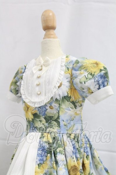 画像3: SD/OF:ドレス I-26-04-05-271-KD-ZI (3)