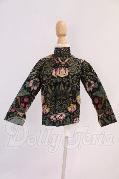 画像1: SD/OF:トップス I-26-04-12-034-KD-ZI (1)