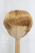画像1: 8-9inch/ウィッグ I-26-04-05-287-KD-ZI (1)