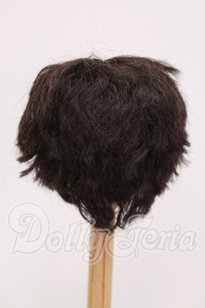 画像2: 8-9inch/ウィッグ I-26-04-19-135-KD-ZI (2)