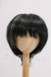 画像1: 8-9inch/ウィッグ I-26-05-14-312-KD-ZI (1)