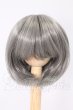 画像1: 7-8inch/ウィッグ I-26-05-14-355-KD-ZI (1)