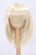 画像1: 9inch/ウィッグ I-26-05-21-258-KD-ZI (1)
