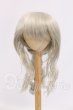 画像1: 9-10inch/ウィッグ I-26-05-28-209-KD-ZI (1)